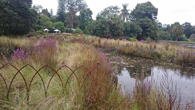 1-rbg wetlands
