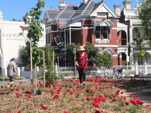 Remembrance Garden