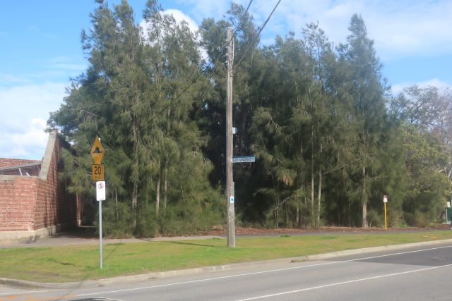 a mini urban forest on the corner of Gasworks in South Melbourne